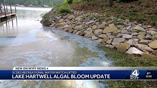 Harmful algal bloom diminishes in parts of Lake Hartwell, caution lifted