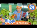 Блиппи на ферме Танаки🌽 | Изучай этот мир вместе с Блиппи | Blippi Russian