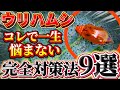 【ウリハムシ】コレで一生悩まない!被害をゼロに抑える方法を紹介します。今年からウリハムシは怖くありません。