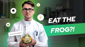 3 Proven Productivity Hacks (Backed by Neuroscience)