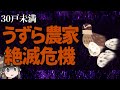 うずら農家が絶滅の危機!?全国30戸未満になった真実とは…@henchrou