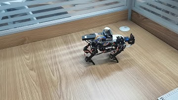 JetsonNanoDog FastWalk
