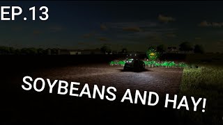 JOHN DEERE only/Big Flats Texas / EP.13/ FS22 Timeplapse