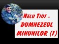 📖Nelu Tiut MARTURII (1) - Dumnezeul minunilor (partea I)