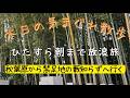 【作業向け配信】秋葉原から船橋へ歩き続ける散歩【東京散歩】【千葉散歩】【本八幡】| Walking Tokyo