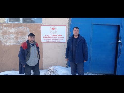 DAP projesi kapsamında büyükbaş hayvancılık işletmesine ziyaret