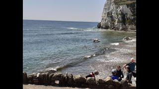 03JUN23 Seasearch Training - Snorkel Dive 2 at Albion Hotel - Go Pro 1