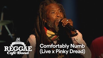 Vintage Reggae Café Band - Comfortably Numb (Live x Pinky Dread)