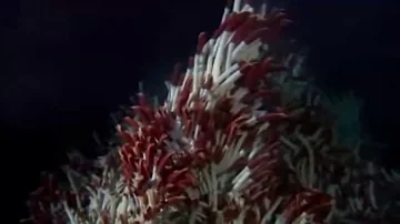 David Attenborough on Hydrothermal Vents