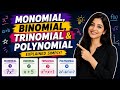 Explained monomial, binomial, trinomial, polynomial in the easiest way
