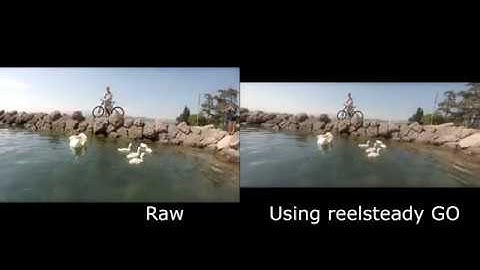 REELSTEADY GO comparison (not drone) | Hero 7 black