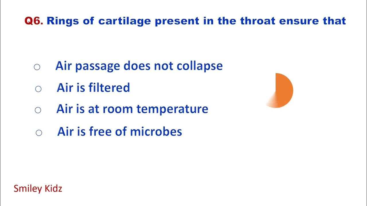 Life processes MCQ class 10 Biology Quiz on Life Processes Class10