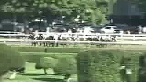 2008 Travers Stakes