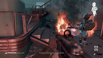 Sentry Bots & Assaultrons