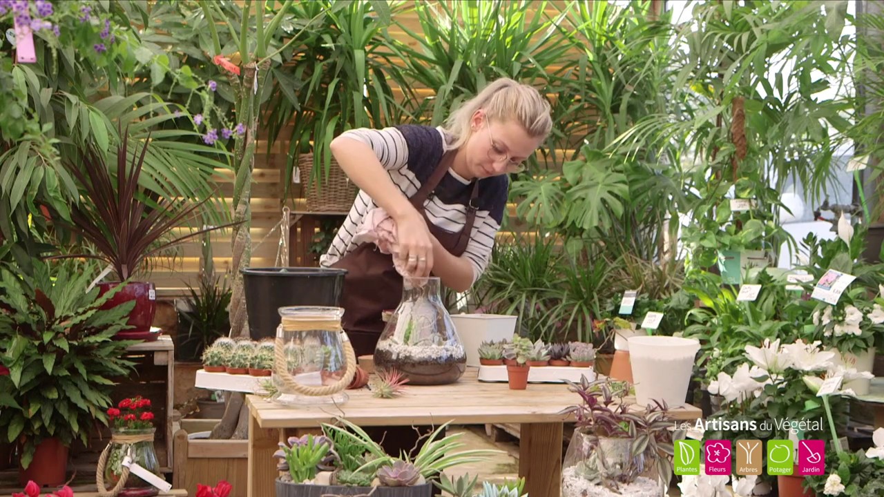 Jardin d'intérieur — Tutos et conseils pour créer un mini jardin d