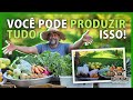 Com o que COMEÇAR na ROÇA?