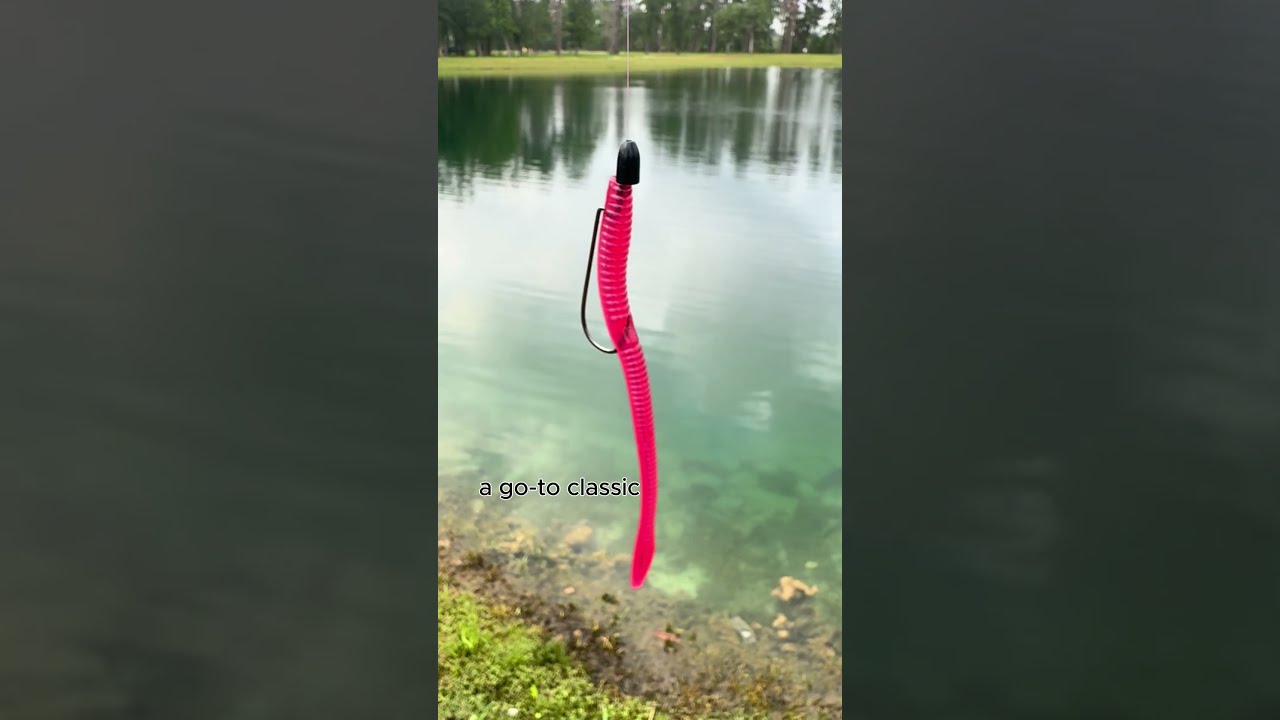 Favorite Pond Fishing Bass Baits Bassfishing Largemouthbass Largemouthbassfishing