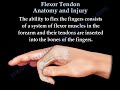 Flexor Tendon Injuries, diagnosis and treatment-