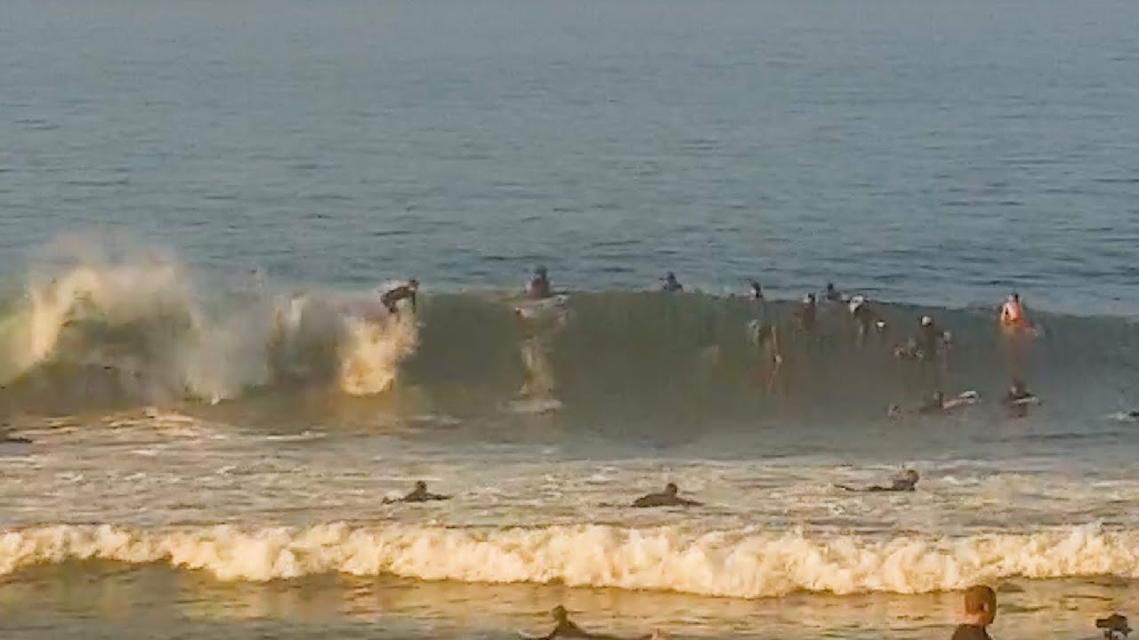 Clips