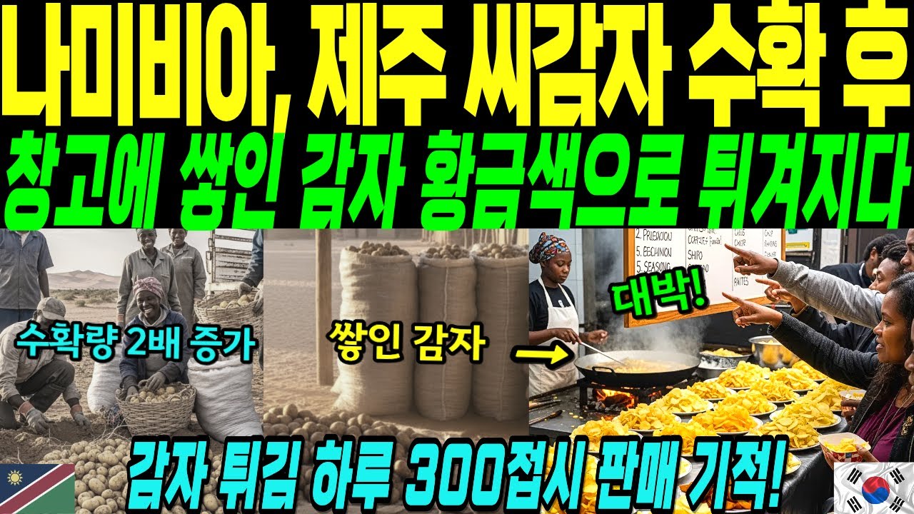 나미비아, 제주 씨감자 수확 2배 성공 후! 사막 마을 명물 된 감자튀김, 하루 300접시 완판 기적 [해외감동사연]