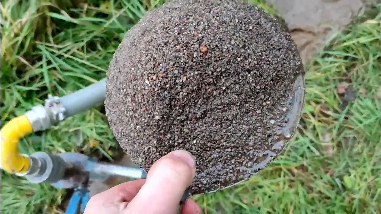 Две абиссинки Сосновый бор - YouTube