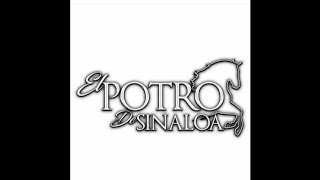 Video-Miniaturansicht von „El Potro de Sinaloa Con Banda - Regalo Caro (En Vivo)“