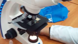 How to use microscope and not to break it