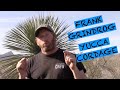 Frank grindrod yucca cord yt