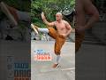 Shaolin Taizu Long Fist ☯️ The Original Shaolin Classic (少林太祖长拳)