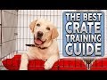 The ULTIMATE Crate Training Guide For Your New Dog or Puppy!