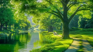 Gentle music, calms the nervous system and pleases the soul 🌿 Healing music for the heart #10 by Soothing Daily 208 views 3 weeks ago 3 hours, 18 minutes