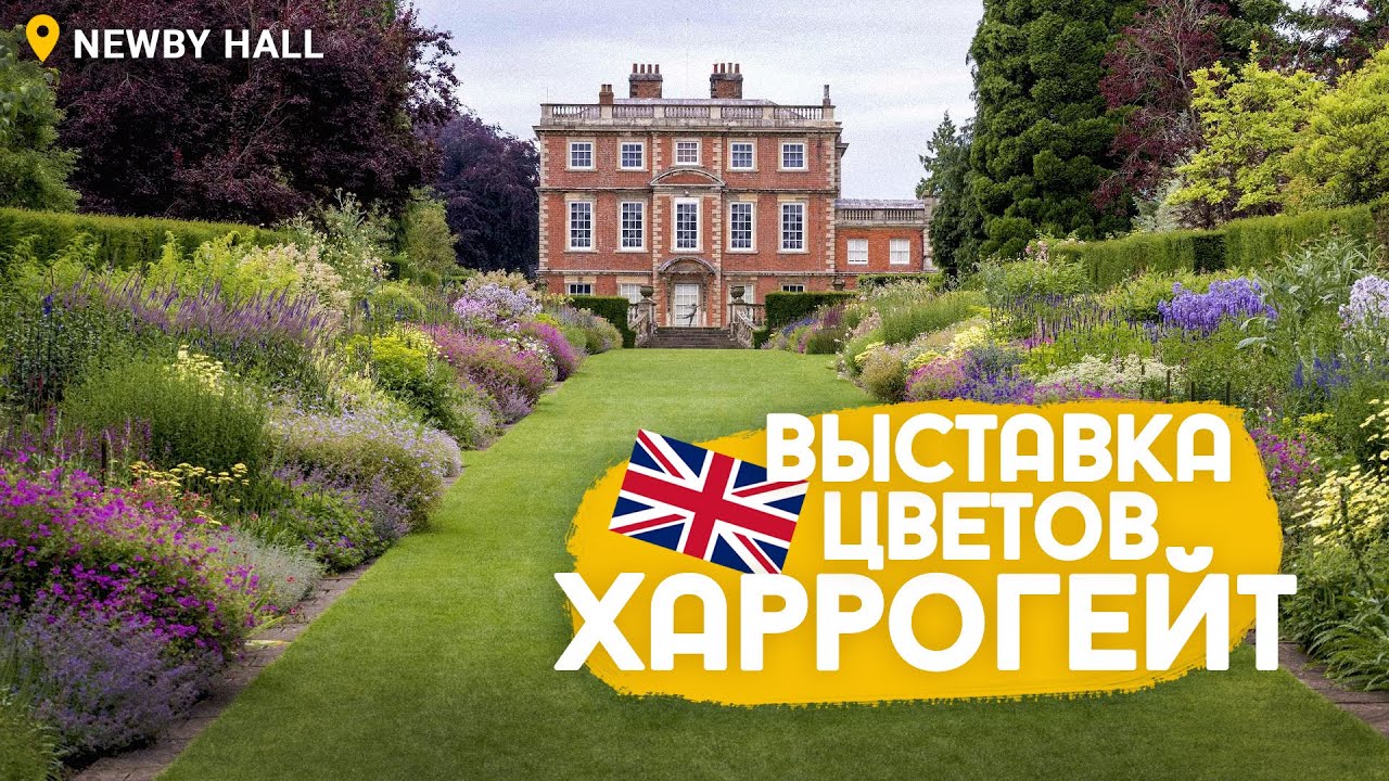 Осенняя выставка цветов (и не только) Harrogate Flower Show