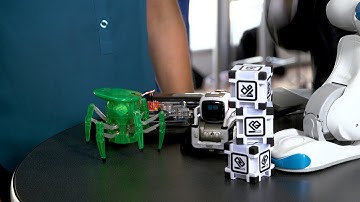 Playing with Social Robots | Singularity Hub | Exponential Manufacturing