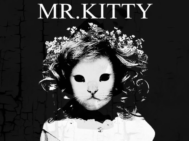 Destroy Me - song and lyrics by Mr.Kitty