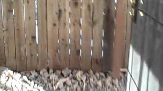 4002LA.mp4