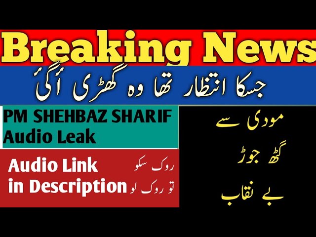 SHEHBAZ SHARIF LEAK AUDIO|| Alleged leak audio of pm Shahbaz  #viral #trending #roksakotoroklo