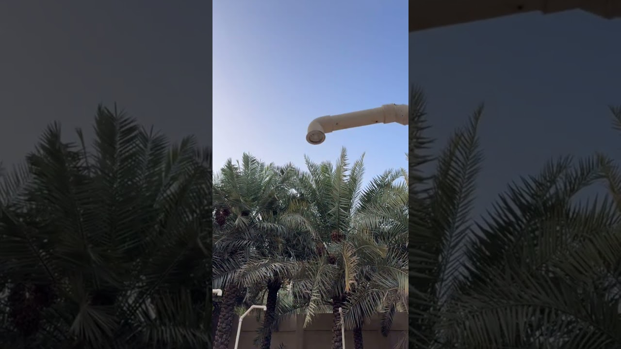 للبيع مزرعة الاحساء صك حر جميع المعلومات في الفيديو تواصل معنا 0501909979