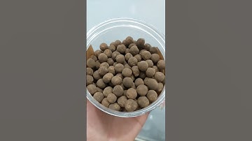 Viên hà thủ ô mật ong Thuận Thiên giúp giảm bạc tóc,giảm rụng tóc #hathuo #gooddaystore #giambactoc