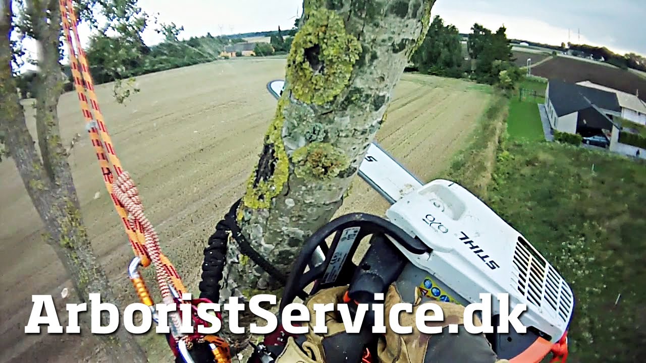 Tree climbing - ReTREEver climbing reach tool - Topkapning