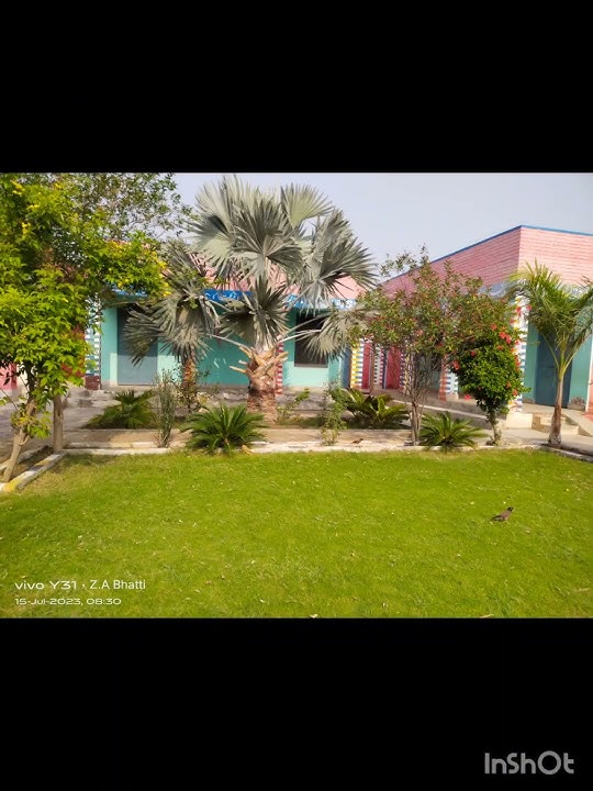 GPS Chak No 117/TDA Layyah Short View