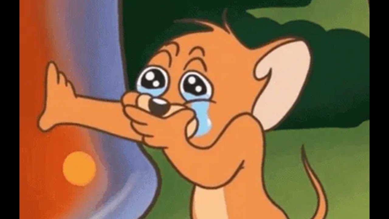 【老番茄】辞职创业，顿顿菜叶