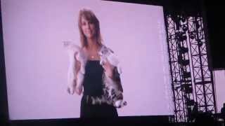 The 1989 World Tour Cats Video