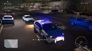 Cops in the Simulation