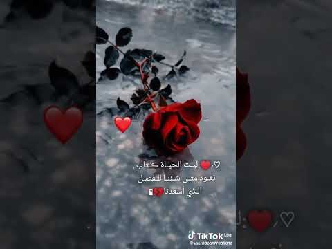 ٢٢ يوليو ٢٠٢٥