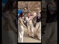 Arrancan las Cruces de Mayo en Adra