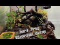 Setting Up a Dart Frog Vivarium (Step by Step)