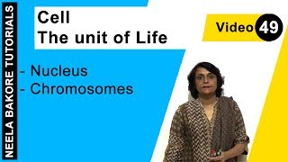 Cell - The unit of Life | NEET | Nucleus - Chromosomes | Neela Bakore Tutorials