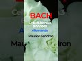 Bach Cello Suite No.3 Allemande BWV1009 (Gendron)