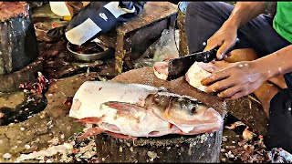 Amazing Cuttings Skills Giant Fish Cutting Skills Live In Fish Market Bd