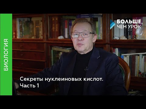 Секреты нуклеиновых кислот. Часть 1